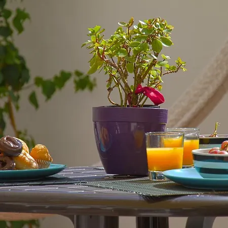 Casa Tortilla Sant Antoni Барселона