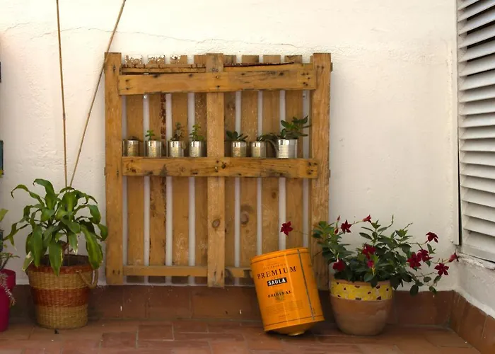 Casa Tortilla Sant Antoni